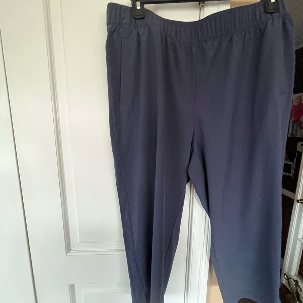 Talbots polyester and spandex cropped pants Sz XL petite
